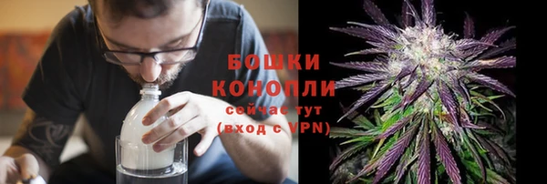 спиды Пересвет