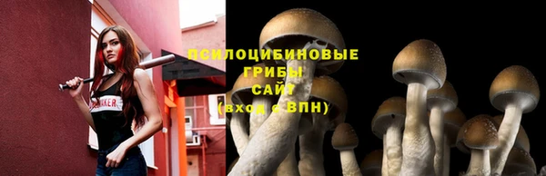 бошки Алзамай