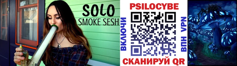 ОМГ ОМГ сайт продажа наркотиков Алупка Псилоцибиновые грибы Psilocybe
